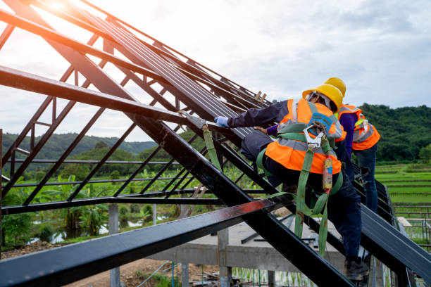 Quick and Trustworthy Emergency Roof Repair Services in Montrose, MI