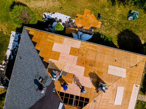 Best Residential Roofing Contractor  in Montrose, MI
