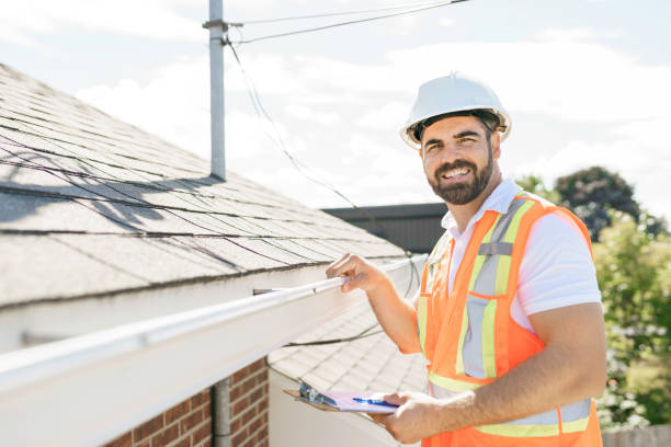 Roof Gutter Cleaning in Montrose, MI