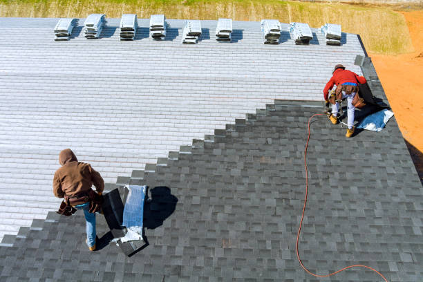 Best Shingle Roofing Installation  in Montrose, MI