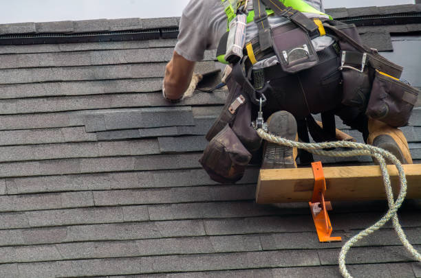 Roof Installation Near Me in Montrose, MI