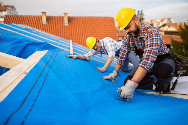 Best Gutter Installation and Roofing  in Montrose, MI