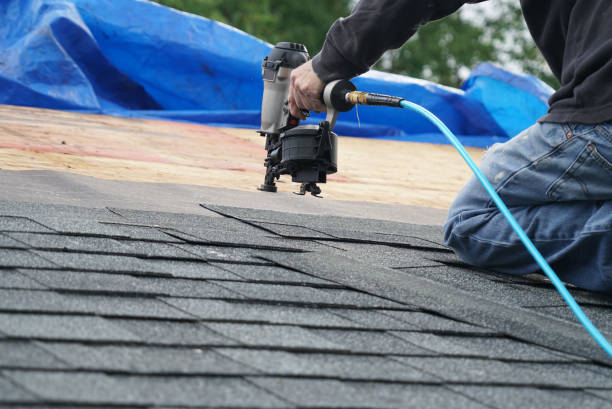 Best Roof Gutter Cleaning  in Montrose, MI