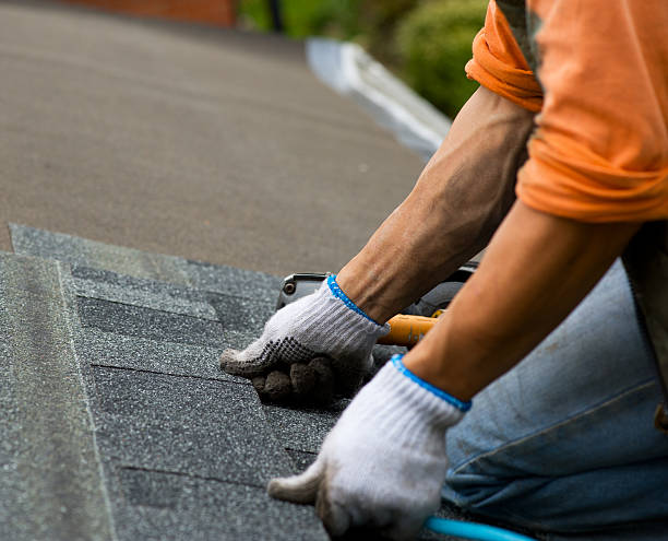 Best Roof Restoration Services  in Montrose, MI