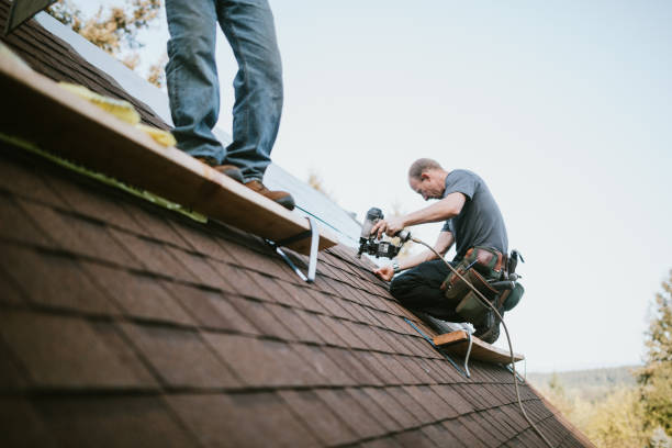 Best Tile Roofing Contractor  in Montrose, MI