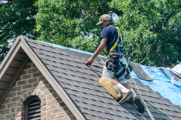 Best Roof Inspection Near Me  in Montrose, MI